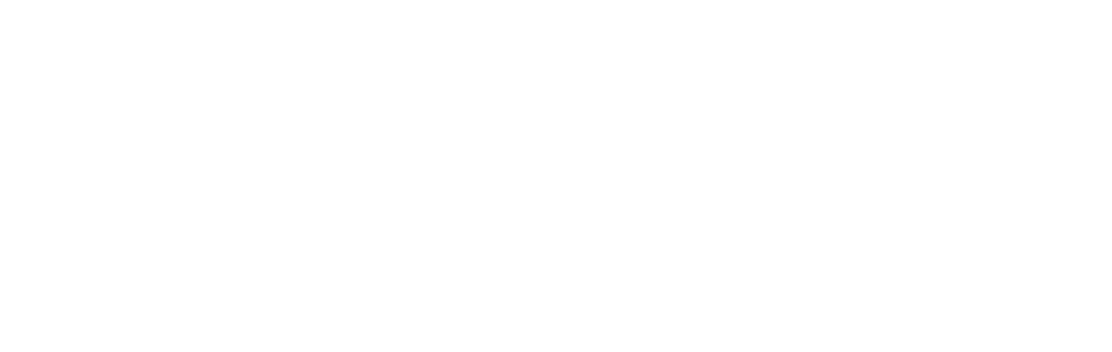 Anesi Logo